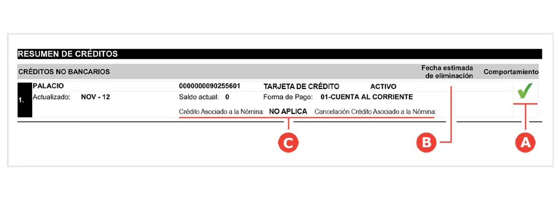 Reporte_de_buro_3e8fc46b4b_resultado.webp