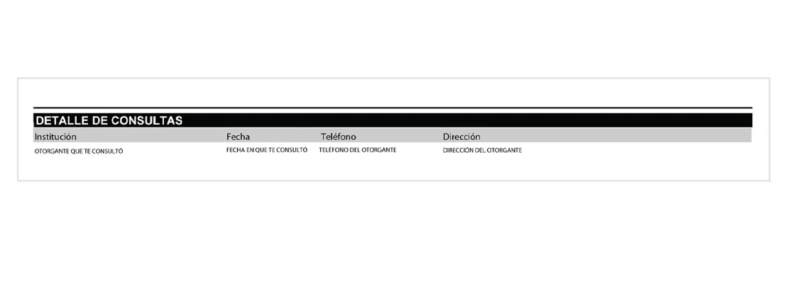 detalles_de_consultas_reporte_de_buro_de_credito_7878a49dd8_resultado.webp