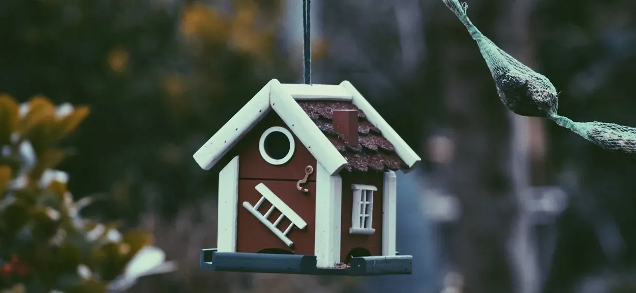 De inquilino a propietario: 10 razones para comprar una casa